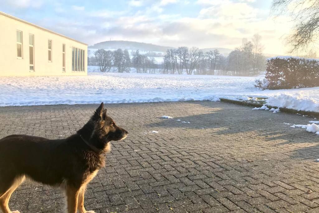 Ferienhaus Talblick Alpenrod Kültér fotó